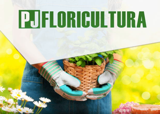 Pj Floricultura